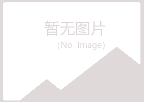 平果县字迹咨询有限公司